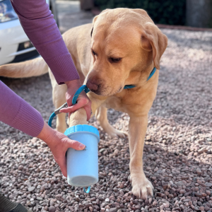 Dog Paw Cleaner